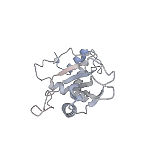 11718_7acr_E_v1-1
Structure of post-translocated trans-translation complex on E. coli stalled ribosome.