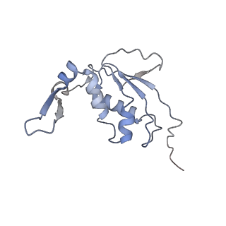 11718_7acr_J_v1-1
Structure of post-translocated trans-translation complex on E. coli stalled ribosome.