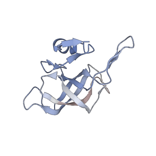 11718_7acr_K_v1-1
Structure of post-translocated trans-translation complex on E. coli stalled ribosome.