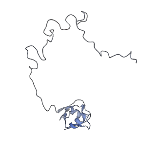 11718_7acr_L_v1-1
Structure of post-translocated trans-translation complex on E. coli stalled ribosome.