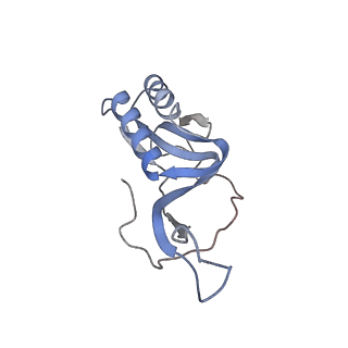 11718_7acr_M_v1-1
Structure of post-translocated trans-translation complex on E. coli stalled ribosome.