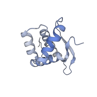 11718_7acr_N_v1-1
Structure of post-translocated trans-translation complex on E. coli stalled ribosome.