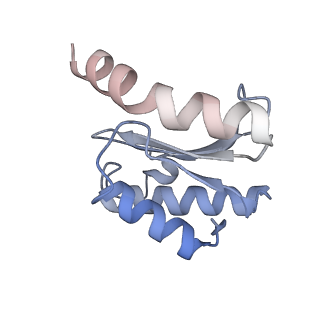 11718_7acr_O_v1-1
Structure of post-translocated trans-translation complex on E. coli stalled ribosome.