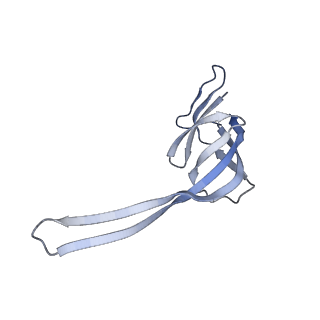 11718_7acr_R_v1-1
Structure of post-translocated trans-translation complex on E. coli stalled ribosome.