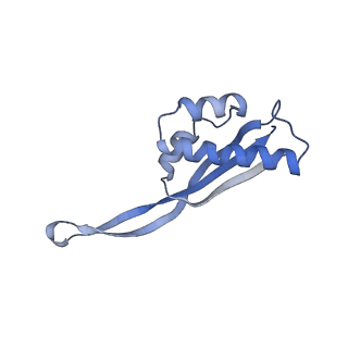 11718_7acr_S_v1-1
Structure of post-translocated trans-translation complex on E. coli stalled ribosome.
