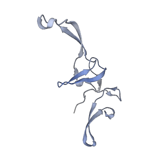 11718_7acr_U_v1-1
Structure of post-translocated trans-translation complex on E. coli stalled ribosome.