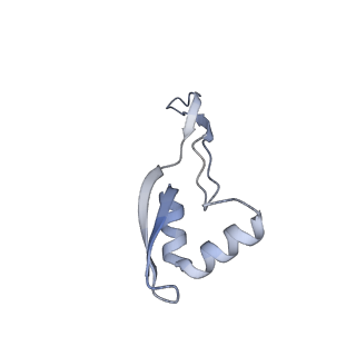 11718_7acr_X_v1-1
Structure of post-translocated trans-translation complex on E. coli stalled ribosome.