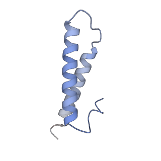 11718_7acr_Y_v1-1
Structure of post-translocated trans-translation complex on E. coli stalled ribosome.