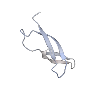 11718_7acr_c_v1-1
Structure of post-translocated trans-translation complex on E. coli stalled ribosome.