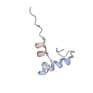 11718_7acr_d_v1-1
Structure of post-translocated trans-translation complex on E. coli stalled ribosome.