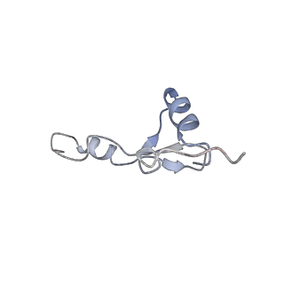 11718_7acr_e_v1-1
Structure of post-translocated trans-translation complex on E. coli stalled ribosome.