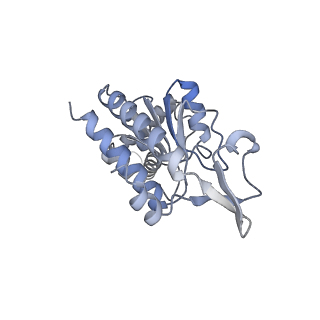 11718_7acr_g_v1-1
Structure of post-translocated trans-translation complex on E. coli stalled ribosome.