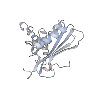 11718_7acr_h_v1-1
Structure of post-translocated trans-translation complex on E. coli stalled ribosome.