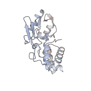 11718_7acr_i_v1-1
Structure of post-translocated trans-translation complex on E. coli stalled ribosome.
