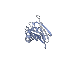 11718_7acr_j_v1-1
Structure of post-translocated trans-translation complex on E. coli stalled ribosome.