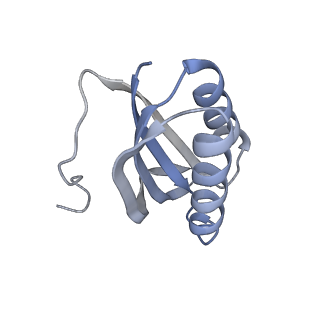 11718_7acr_k_v1-1
Structure of post-translocated trans-translation complex on E. coli stalled ribosome.
