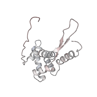 11718_7acr_l_v1-1
Structure of post-translocated trans-translation complex on E. coli stalled ribosome.
