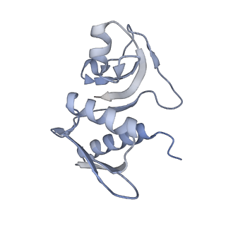 11718_7acr_m_v1-1
Structure of post-translocated trans-translation complex on E. coli stalled ribosome.