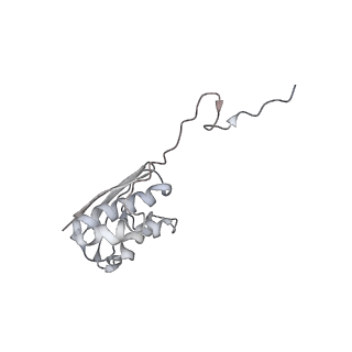 11718_7acr_n_v1-1
Structure of post-translocated trans-translation complex on E. coli stalled ribosome.