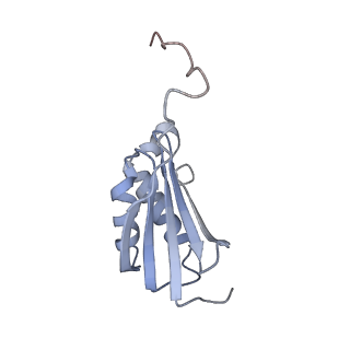 11718_7acr_p_v1-1
Structure of post-translocated trans-translation complex on E. coli stalled ribosome.
