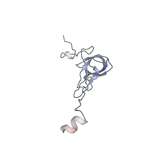 11718_7acr_q_v1-1
Structure of post-translocated trans-translation complex on E. coli stalled ribosome.
