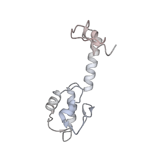 11718_7acr_r_v1-1
Structure of post-translocated trans-translation complex on E. coli stalled ribosome.