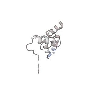 11718_7acr_s_v1-1
Structure of post-translocated trans-translation complex on E. coli stalled ribosome.