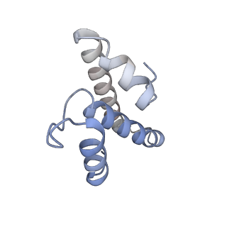 11718_7acr_t_v1-1
Structure of post-translocated trans-translation complex on E. coli stalled ribosome.