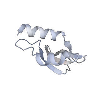 11718_7acr_u_v1-1
Structure of post-translocated trans-translation complex on E. coli stalled ribosome.