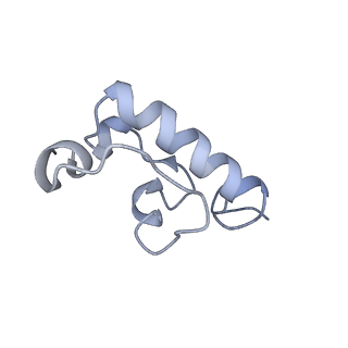 11718_7acr_w_v1-1
Structure of post-translocated trans-translation complex on E. coli stalled ribosome.