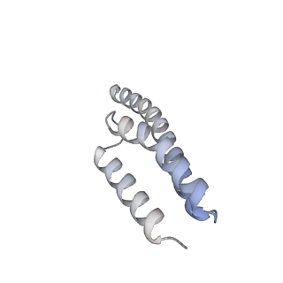 11718_7acr_y_v1-1
Structure of post-translocated trans-translation complex on E. coli stalled ribosome.