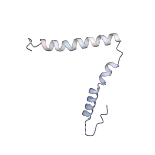 11718_7acr_z_v1-1
Structure of post-translocated trans-translation complex on E. coli stalled ribosome.