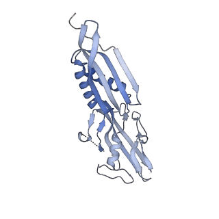 15329_8ac0_B_v1-1
RNA polymerase at U-rich pause bound to regulatory RNA putL - active, closed clamp state