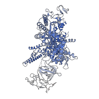 15329_8ac0_D_v1-1
RNA polymerase at U-rich pause bound to regulatory RNA putL - active, closed clamp state