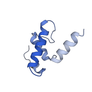 15329_8ac0_E_v1-1
RNA polymerase at U-rich pause bound to regulatory RNA putL - active, closed clamp state