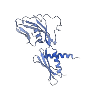 15330_8ac1_A_v1-1
RNA polymerase at U-rich pause bound to non-regulatory RNA - inactive, open clamp state