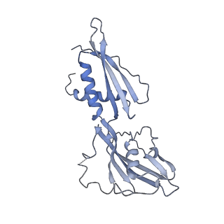 15330_8ac1_B_v1-1
RNA polymerase at U-rich pause bound to non-regulatory RNA - inactive, open clamp state