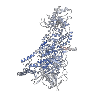15330_8ac1_D_v1-1
RNA polymerase at U-rich pause bound to non-regulatory RNA - inactive, open clamp state