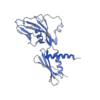 15331_8ac2_A_v1-1
RNA polymerase- post-terminated, open clamp state