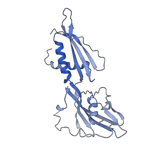 15331_8ac2_B_v1-1
RNA polymerase- post-terminated, open clamp state
