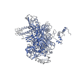 15331_8ac2_C_v1-1
RNA polymerase- post-terminated, open clamp state