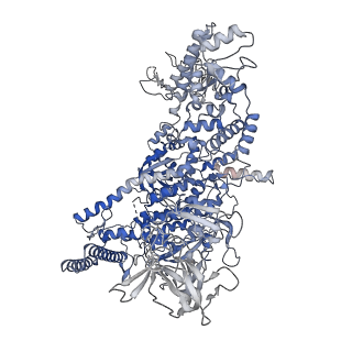 15331_8ac2_D_v1-1
RNA polymerase- post-terminated, open clamp state
