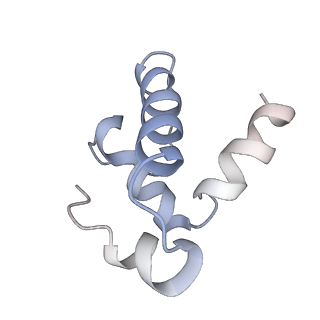15331_8ac2_E_v1-1
RNA polymerase- post-terminated, open clamp state