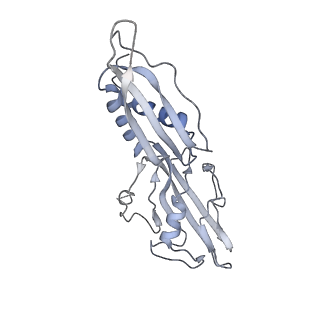 15352_8acp_B_v1-1
RNA polymerase at U-rich pause bound to regulatory RNA putL - inactive, open clamp state