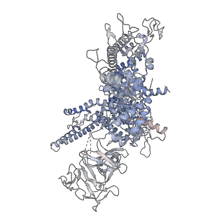 15352_8acp_D_v1-1
RNA polymerase at U-rich pause bound to regulatory RNA putL - inactive, open clamp state