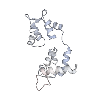 15353_8act_C_v1-1
structure of the human beta-cardiac myosin folded-back off state