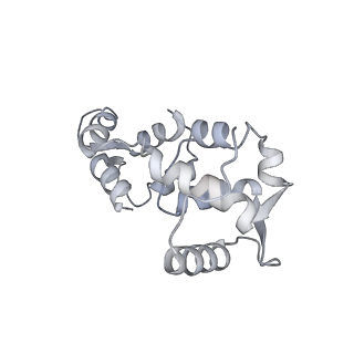 15353_8act_D_v1-1
structure of the human beta-cardiac myosin folded-back off state