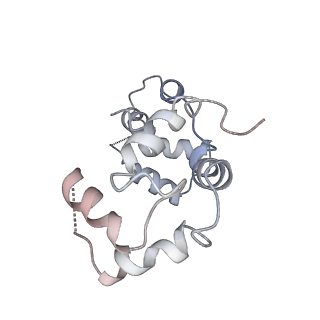 15353_8act_E_v1-1
structure of the human beta-cardiac myosin folded-back off state