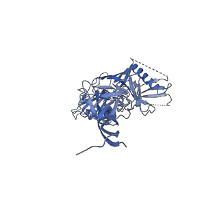 3121_5aco_C_v1-2
Cryo-EM structure of PGT128 Fab in complex with BG505 SOSIP.664 Env trimer