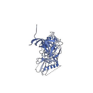 3121_5aco_D_v1-2
Cryo-EM structure of PGT128 Fab in complex with BG505 SOSIP.664 Env trimer